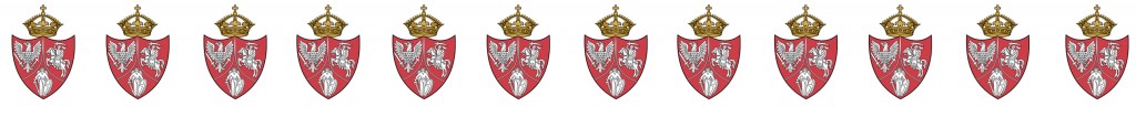 Puchar Powstańców Styczniowych - WYTYCZNE ( o ile sie odbedzie)